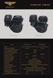 Gasoline Engine (BTL168(6.5HP) & BTL188(13HP))