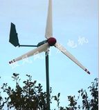 600W Windmill Turbine Generator (HF2.8-600W)