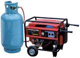 CE EPA Portable Home Use LNG LPG Generator