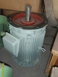 5kw 60rpm Rare Earth Magnetic Generator for Wind Turbine Generator