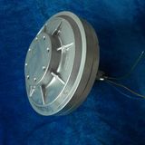 100W 200rpm Corless Disc Generator