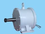 3kw 273rpm Permanent Magnet Generator 50Hz