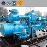 Cattle Manure Farm Waste Biogas Power Plant Biogas Gas Generator