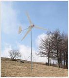 300w Wind Power Generator (FD-300W)