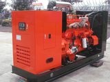 180kw Marsh Gas/Natural Gas/Biomass Generator Set