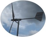 Super Horizontal Axis Small 500w Wind Turbine Generator