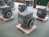 China 6.5kw Three Phase Brushless Alternator (JDG164A)