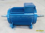 30kw Double Shaft Permanent Magnet Wind Generator