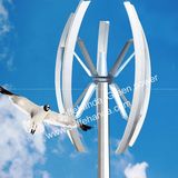 600W Vertical Axis Wind Turbine