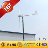 1kw Wind Generator From China Manufacturer (Wind Turbine Generator 90W-300KW)