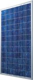 Poly Solar Panel (SNM-P200- 240WP)