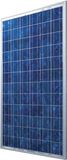 Poly Solar Panel (SNM-P200- 240WP)