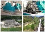 Pelton Turbin/Water Turbine/Waterturbine/ Hydro Turbine/ Hydroturbine