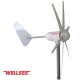 300W Wellsee 6 Leaves Wind Turbine/ Horizontal Axis Wind Turbine (WS-WT)