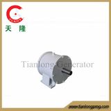Ff-2kw/300rpm/DC120V Permanent Magnet Alternator (PMG/PMA/Hydro)