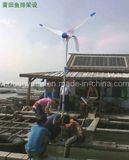 Wind Generator (FY-400W) 