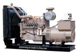 CUMMINS A Series Gas Generating Set (TCM30-688KW)