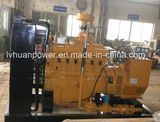 International Standard CE Certificated for Overseas Market100kw Biogas Engine/Generator for Sale