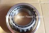 3003354 Roller Bearing for Cummins K19