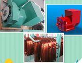 Wuxi Faraday Diesel AC Brushless Generator 100kVA-312.5kVA 60Hz 1800rpm Fd3