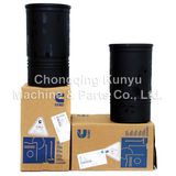 Diesel Parts Cylinder Liner (3055099)