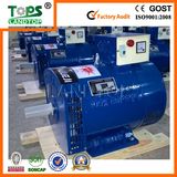 Stc Single Phase Output Type Brush Synchronous Alternator Generator
