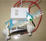 200mg Ozonator Used for Fruit and Vegetable Machine