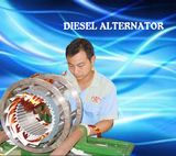Copy Stanford 8.1kwa/6.5kw Alternator