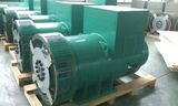 Faraday Wuxi 250kw 415V 60Hz 1800rpm Brushless Alternator Price List Fd6e