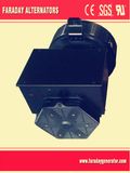 Faraday Magnet Generator / Made in China AC Brushless Synchronous Alternator