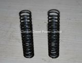 Cummins 3010146 Pressure Regulator Spring