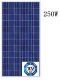 250W Polycrystalline Solar Module (JHM250P-72)