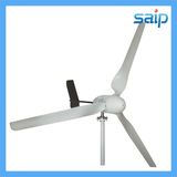 Newest 1kw Wind Energy Generator Horizontal Wind Turbine (EW1000)