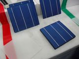 Mono-Crystalline Solar Cells (SPSM156S-M1)