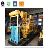 10-1000 Kw Natural Gas Generator Set /Fuel: CNG, LPG, Syngas Generator Gas Engine Manufacturer