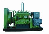 Gas Generator Set