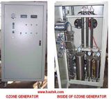 Hot Sale Ozone Generator Manufacturer