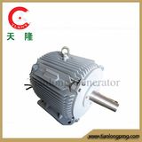 Ff-2kw/273rpm/AC380V Permanent Magnet Generator (PMG/PMA/Hydro)