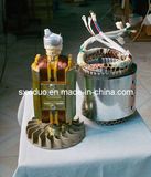 Single-Phase Gasoline Generator Spear Parts