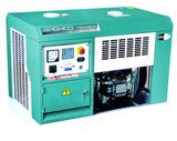 Portable Diesel Generator (BN12000DCE)