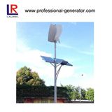 300W Wind Power Generator/Green Energy Wind Turbine Generator