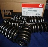 Cummins Engine Parts Valve Spring 3926700