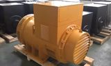 Faraday AC Alternator Generator with Pmg Wuxi Factory