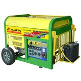 Portable Power Generator (HGY9000CXE)