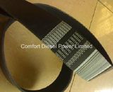 3003343 Fan Belt Used for Cummins Kta38 Engine