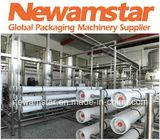 Automatic Reverse Osmosis System - Pure Water Treatment Equipment