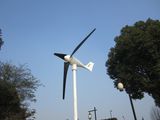 Small Wind Turbine Generator with High Quality