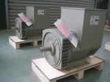 48kw (60kVA) Electric Three Phase Brushless AC Alternator Jdg224e