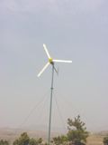 1kw Wind Turbine