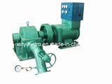 Small Pelton Water Turbine